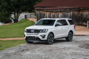 2019 Ford Expedition Stealth Edition (White) 